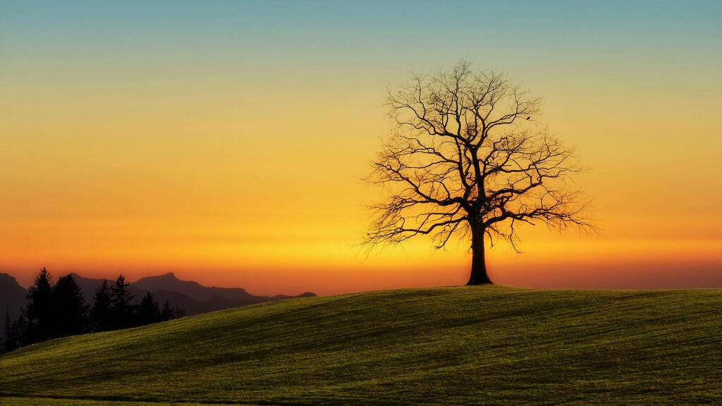 When There's Nobody There image