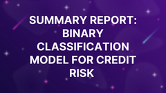 Summary Report: Binary Classification Model for Credit Risk  image