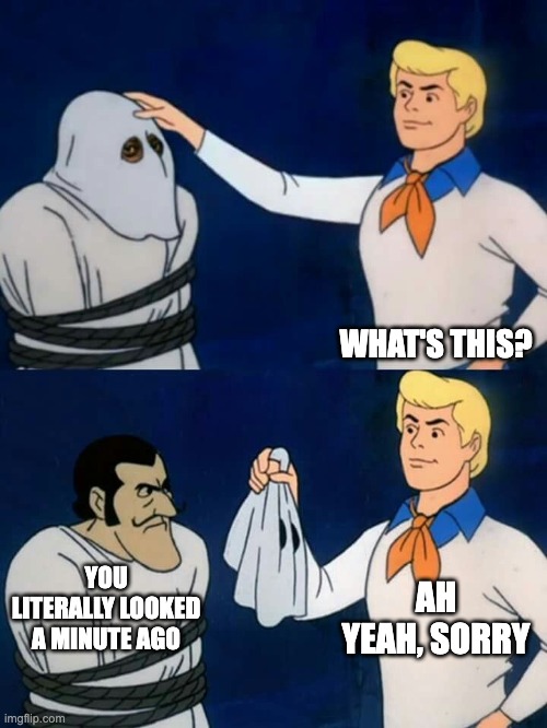 A meme from a Scooby Doo episode split into halfs. Top half there's a person looking at someone with a hood. Text: What's this? The bottom half shows the hood revealed with the text 'You literally looked a minute ago' and 'ah yeah, sorry'. 