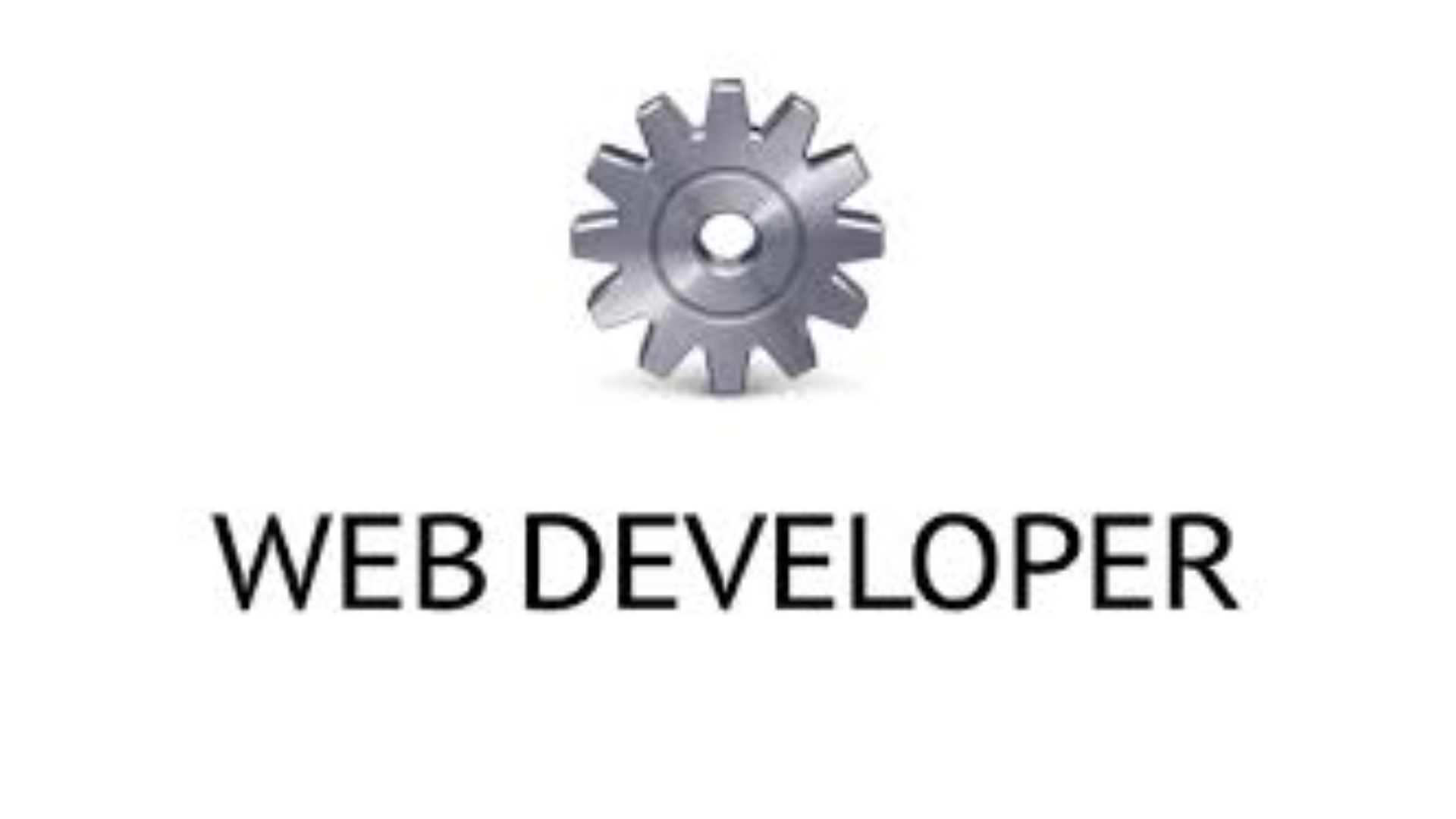 Web Developer image