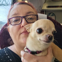 Elly Gausden profile image