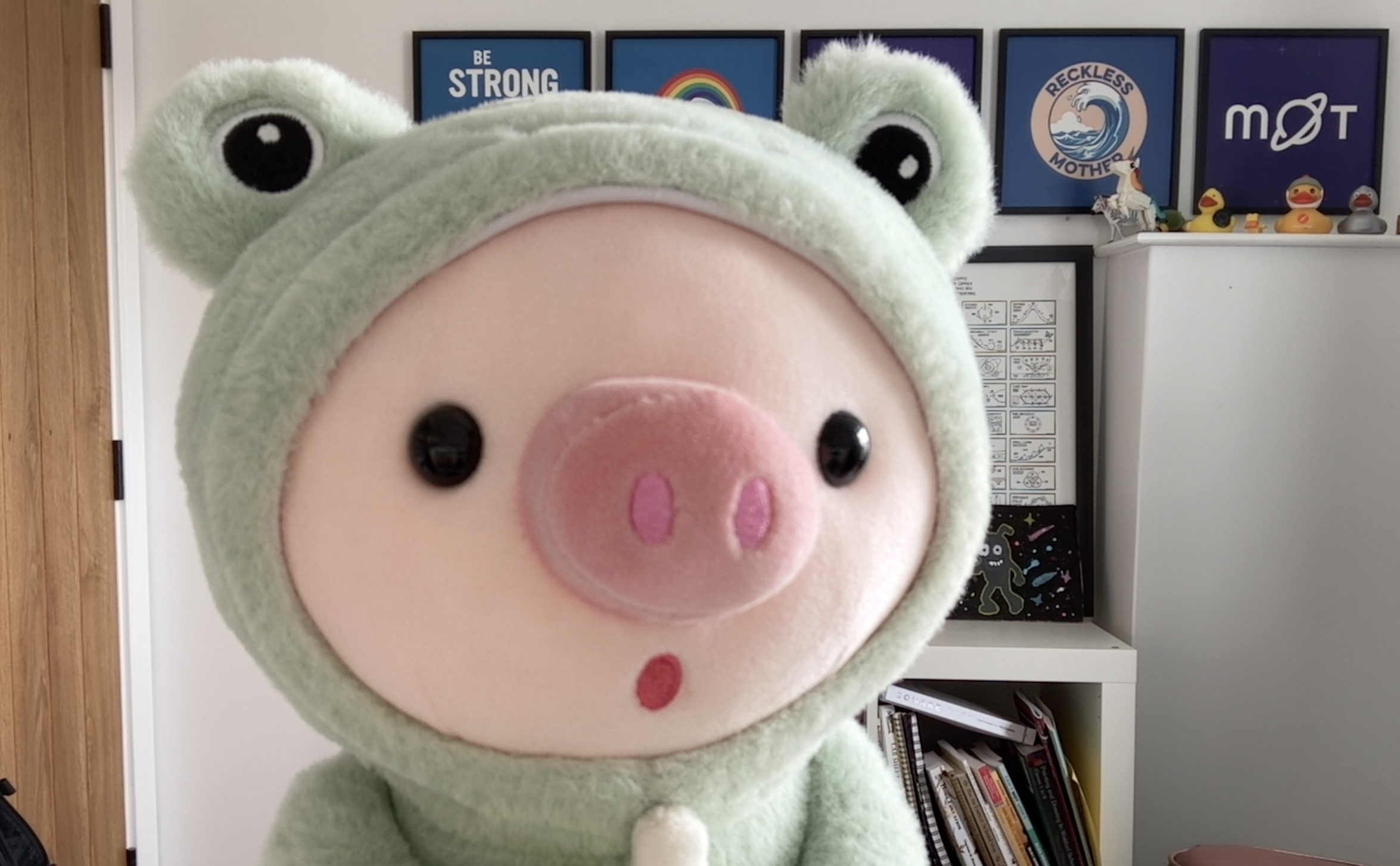 Photo of Frig stuffed toyed, a pig dressed up as a frog. image