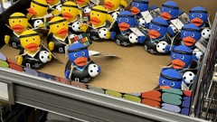 World Cup ducks image