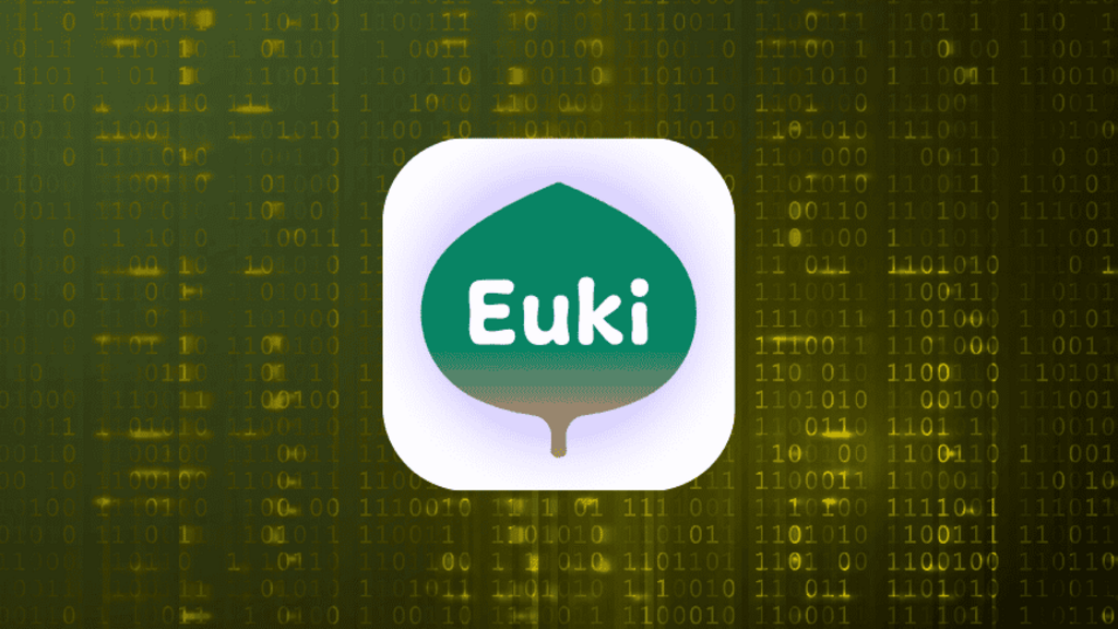 Mozilla study ranks Euki as the most private period tracker image image