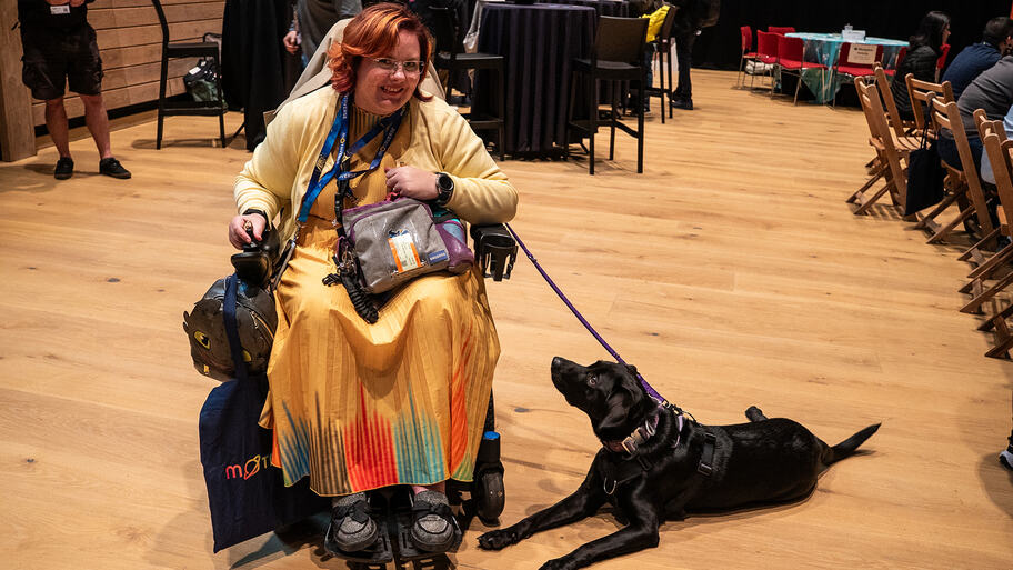 Krys and Luna, the guide dog image