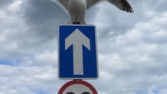 I took this photo of SpaceSeagull and it seemed like a great writing prompt to say 20 things about TestBash.

1. It was started because I was jealous of design conferences having all the fun, I t... image