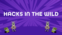 Hacks in the Wild image