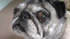 Awwww, so sweet! image