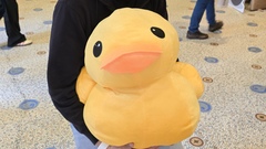 Heavy duck image