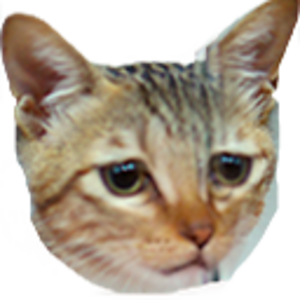 Sil ting profile image