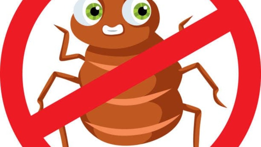 Prevention is the highest form of testing: The value of zero bugs image
