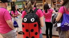 Look at my bug bag! image