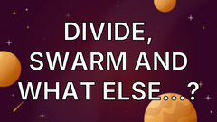 Divide, swarm and what else…? image