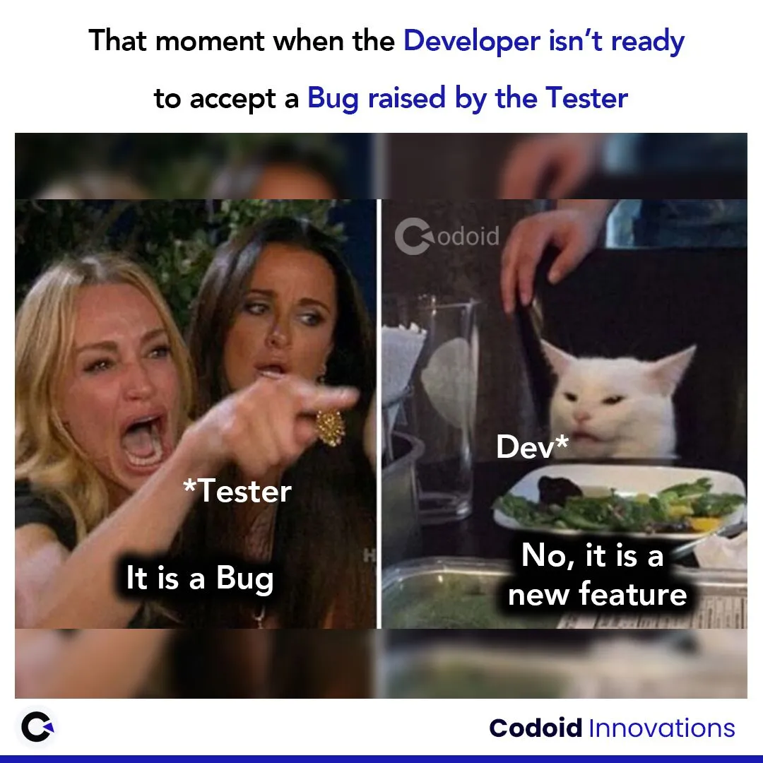 that moment when the developer isn't ready to accept Bug raised by tester