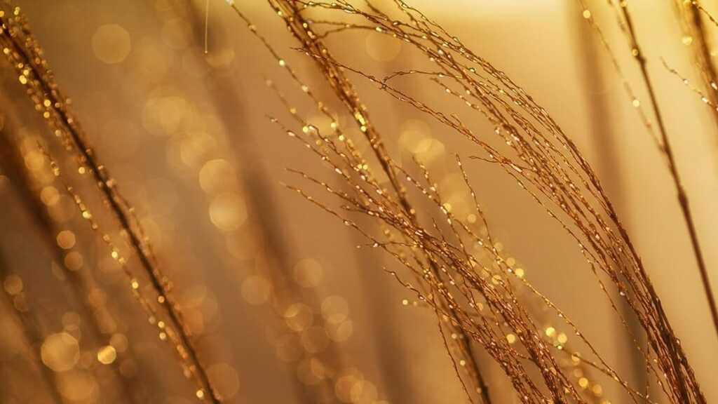 Stop selling gold when all you’ve got to offer is a process image image