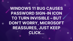 Windows 11 bug causes password sign-in icon to turn invisible – but don't worry, Microsoft reassures, just keep click... image
