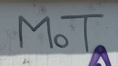 Submit your anonymous salary details. Plus, discover highlights of the previous week in the MoTaverse.   image