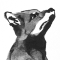 Ida Bruun profile image