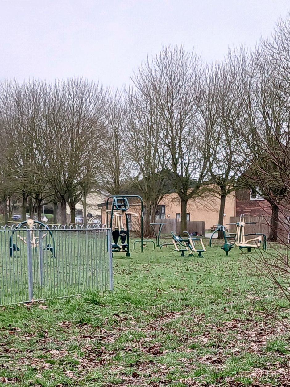 Picture of an outdoor gym in a field surrounded by trees