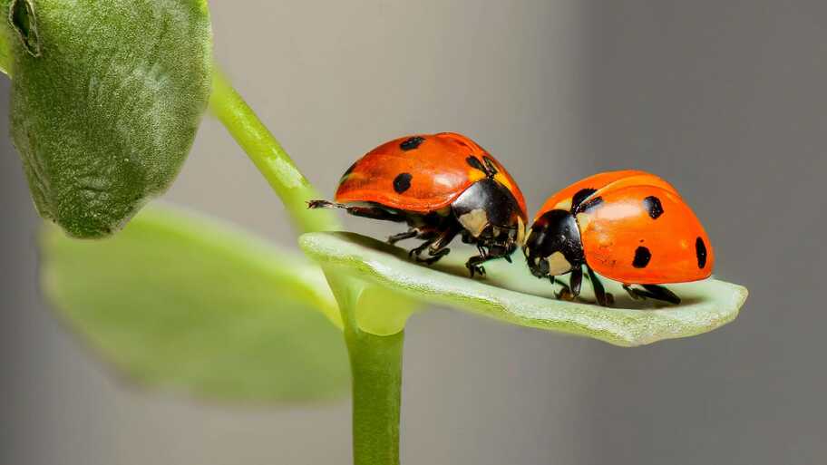 The quirky little bug that taught me a valuable testing lesson image