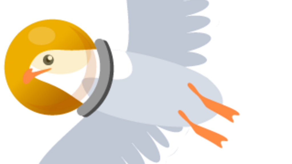 mot space seagull image