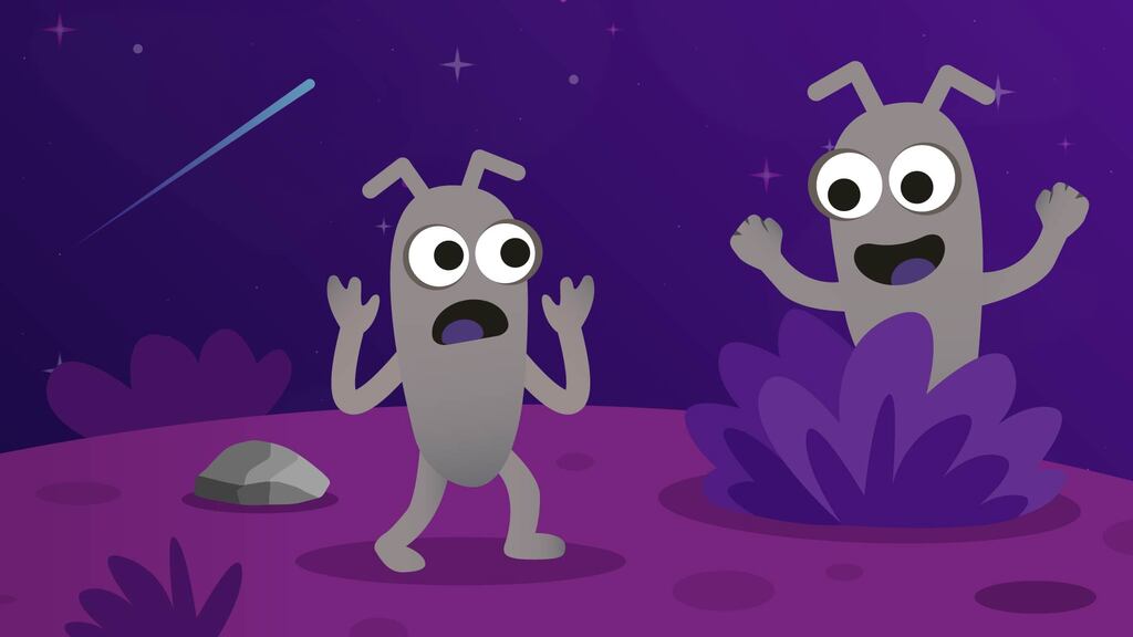 Suddenly, a wild tester appeared! A developer’s guide to caring for software testers image