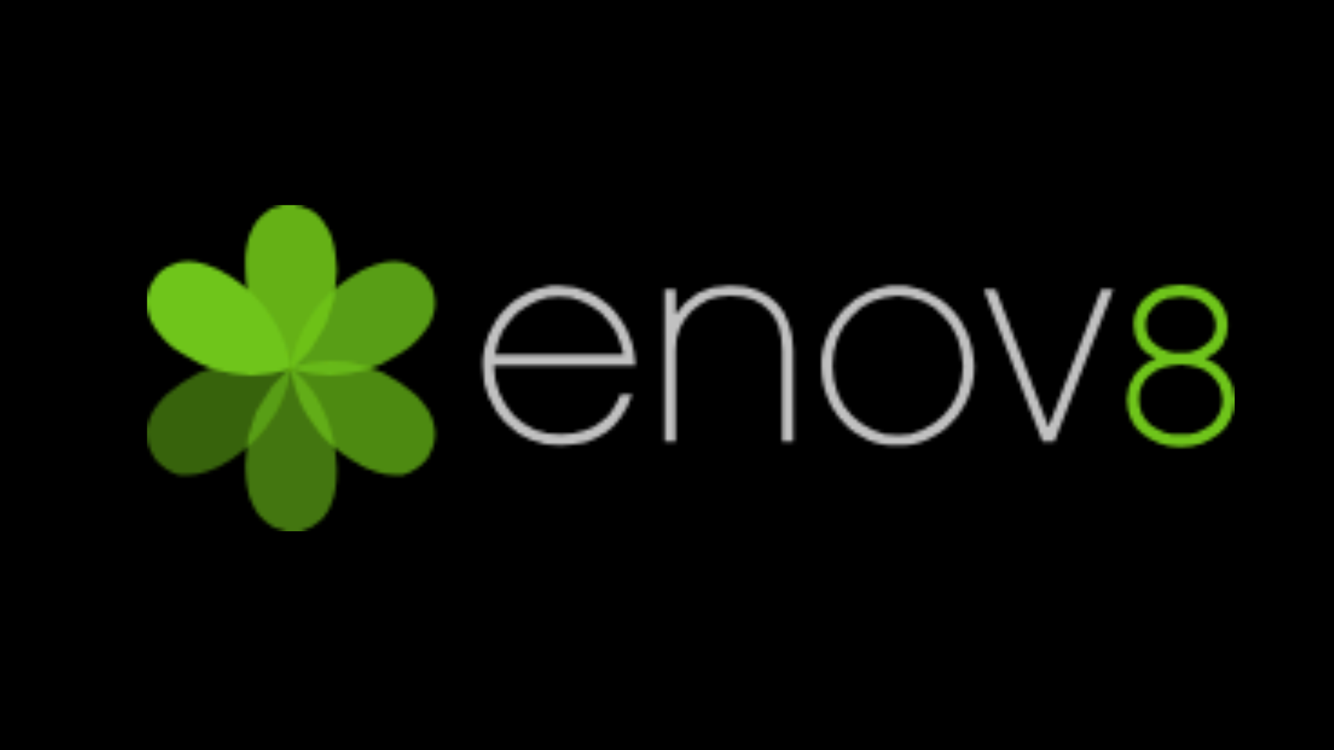 Enov8 Test Data Manager image
