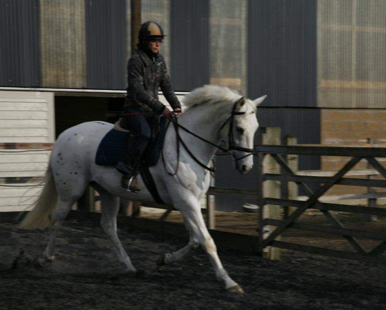 Megan Ozanne's profile