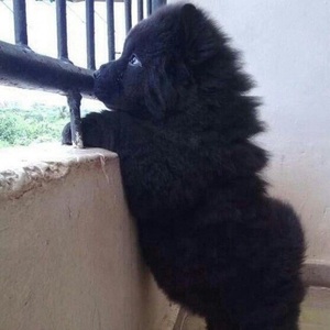 Andrii Matsiuk profile image