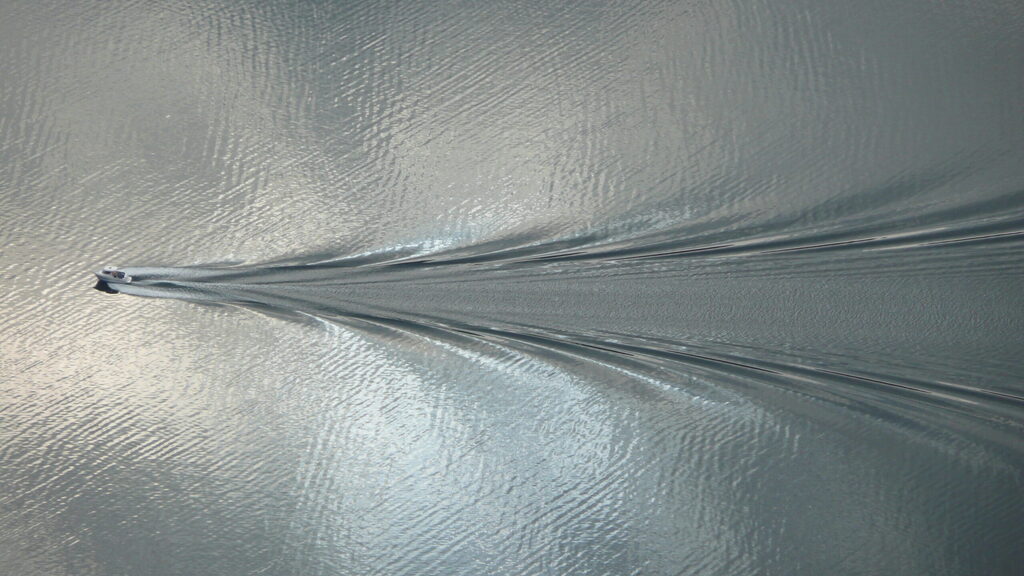 How to harness your behavioural wake to amplify culture image