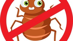 Prevention is the highest form of testing: The value of zero bugs image
