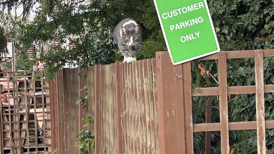 Customer parking only image