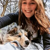 Katy Bradshaw profile image