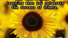 Why Learning is Hard  image