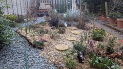 Lessons learnt from gardening  image