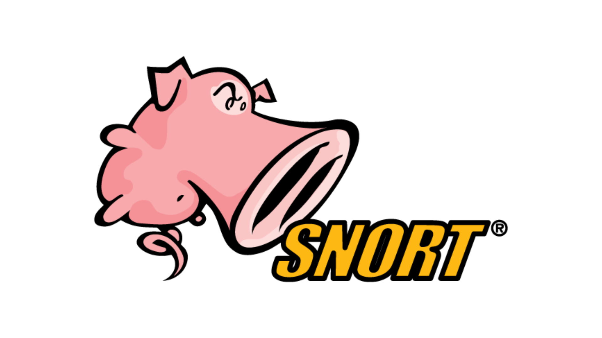 Snort image