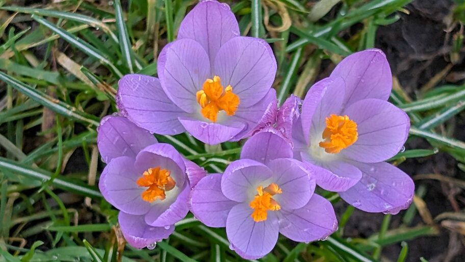 Your Quality Engineering will be richer if you know how Quality Engineering originated image