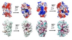 Deep learning gets the glory, deep fact checking gets ignored image