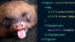 Alt Text: Not Always Needed image