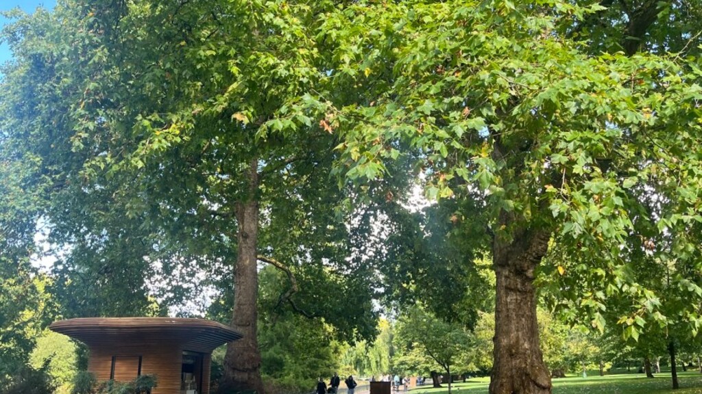 Web Accessibility Testing – Are We There Yet? image