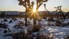 A List of Community of Practice New Year’s Resolutions image