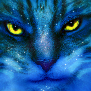 Marina M profile image