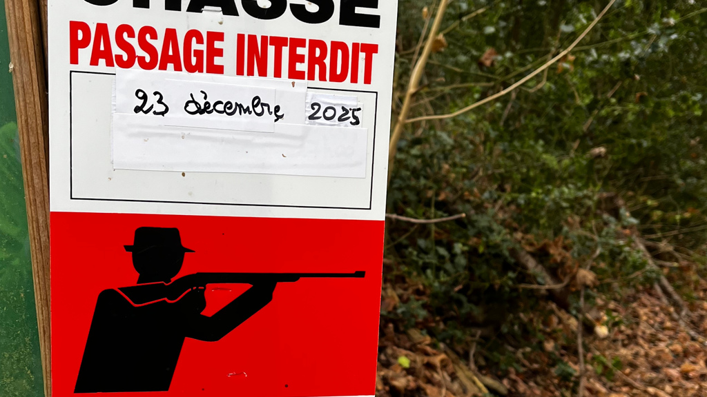 Why AI won't save your Flaky Tests image