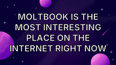 Moltbook is the most interesting place on the internet right now image