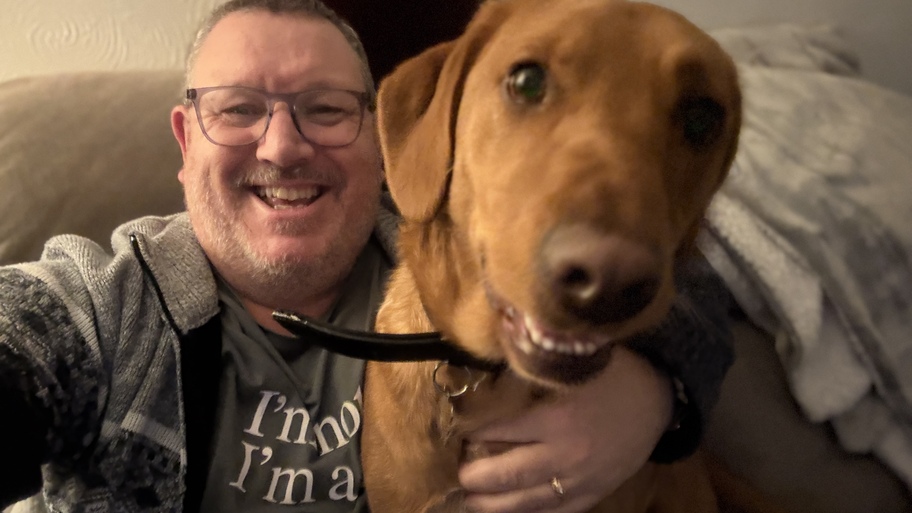 Dog sitting Dexter  image
