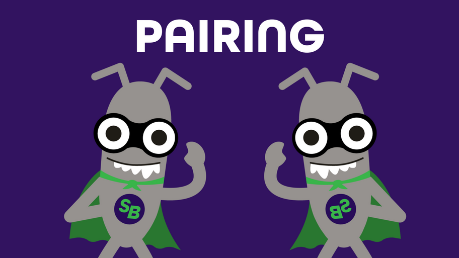Pairing image