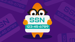 Uncover the complexities and essential techniques of SSN validation image