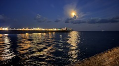 The night stays awake with Brighton Pier image