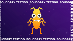Boundary testing image