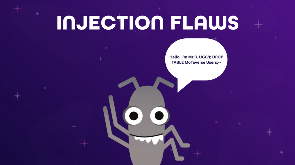 Injection Flaws image